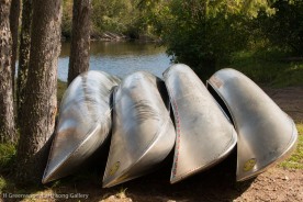 canoes